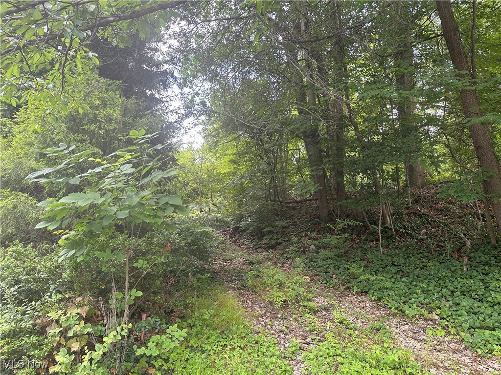 Belleau Wood Drive, Akron, Ohio image 3