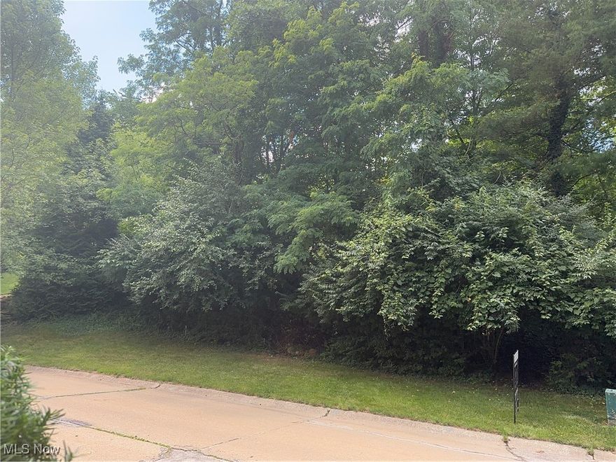 Rare buildable .41 acre lot in the beautiful Merriman Valley. Come build the home of your dreams in this highly sought after location.