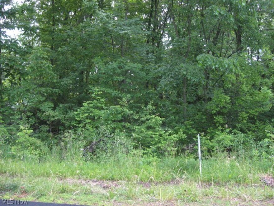 100x267 building lot. Mostly wooded. Public water and sewer at street.