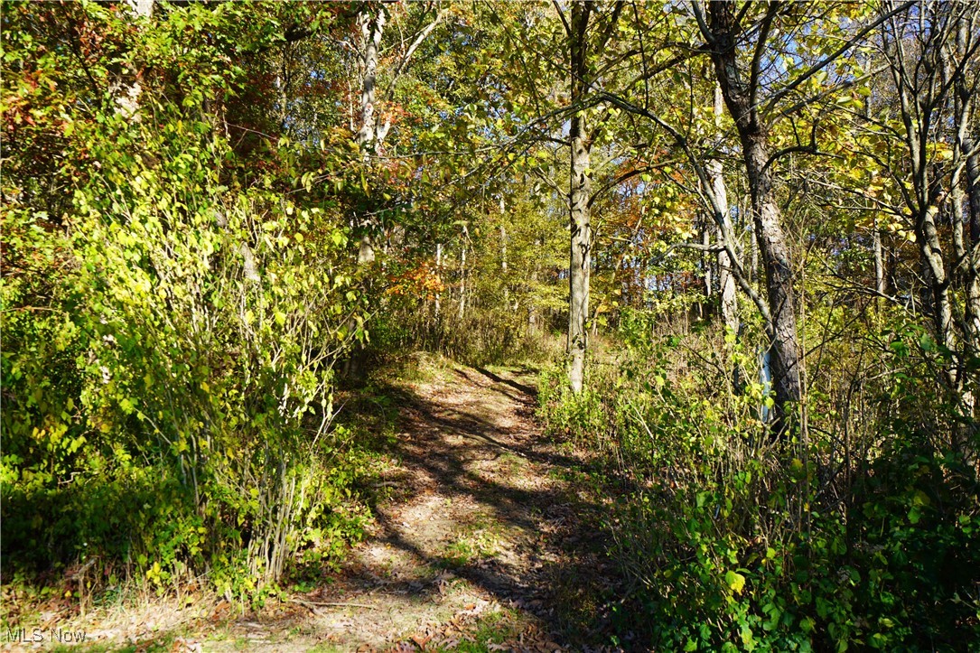 Irondale, Ohio 43932, United States, ,Commercial,Active,59665