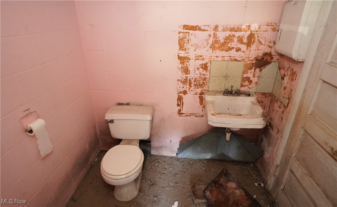 Irondale, Ohio 43932, United States, ,Commercial,Active,59665