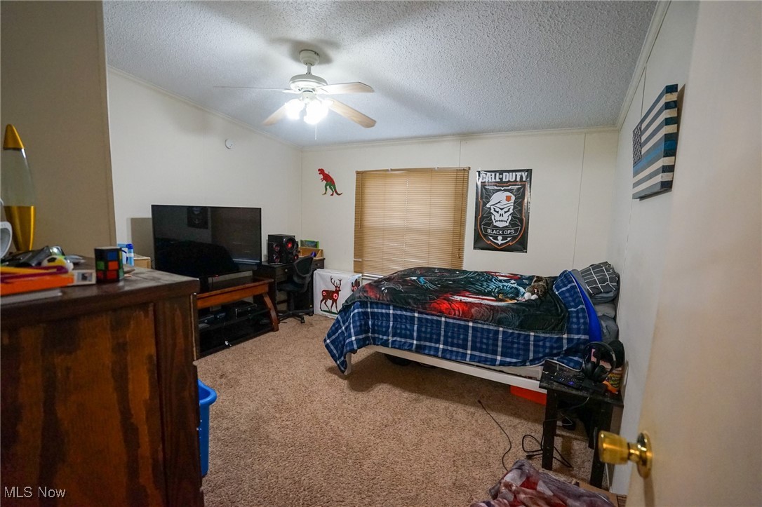 8672 Ridgeview Rd Rd, Chandlersville, Ohio image 16