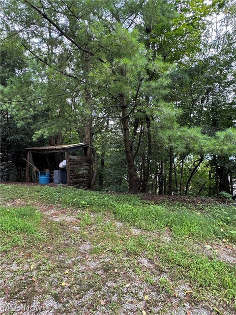 Vacant Land For Sale - 509 Columbus Avenue<br/> Martins Ferry, OH 43935
