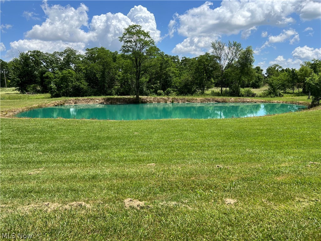 45499 Stewart Road, Sullivan, Ohio image 7