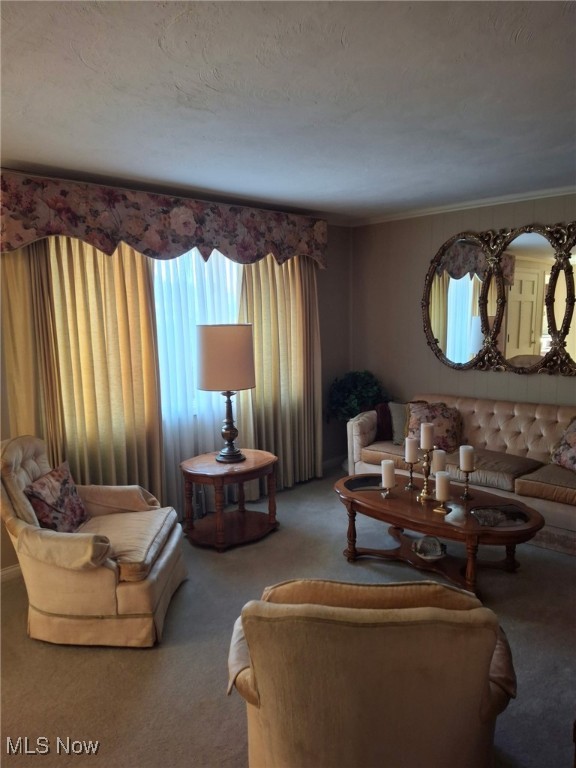 Woodlawn Estates - Residential