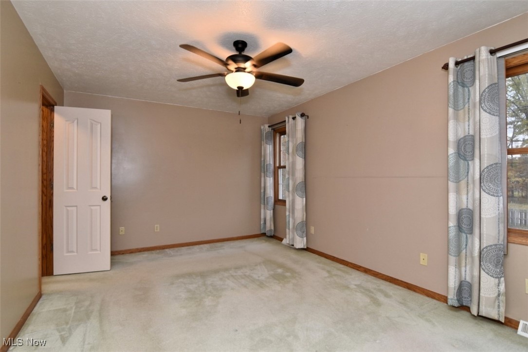 Pine Tree - Residential