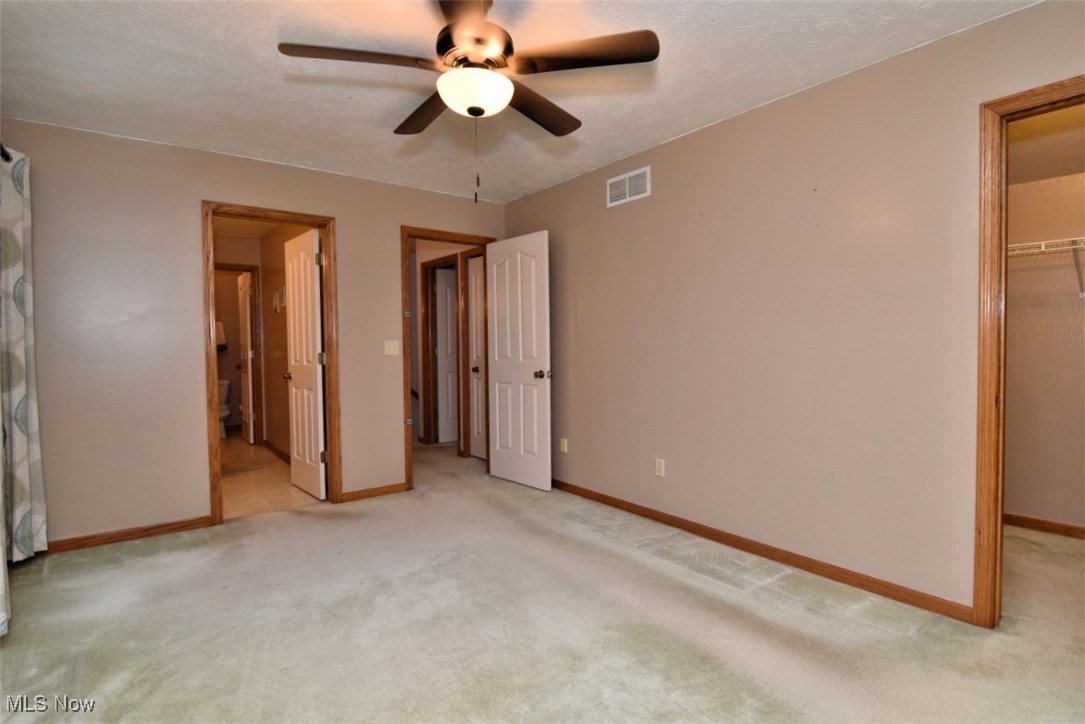 Pine Tree - Residential