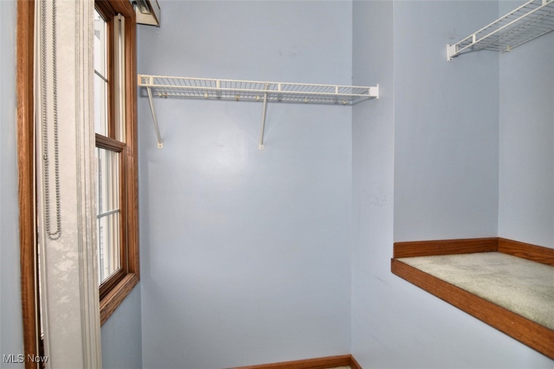 Pine Tree - Residential