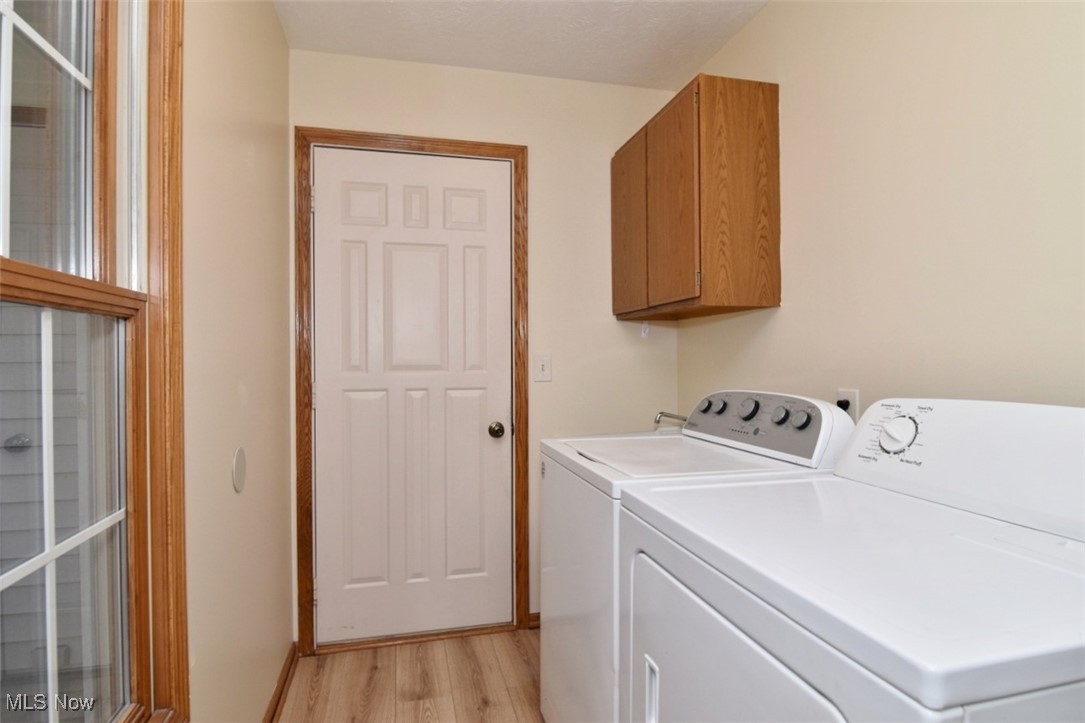 Pine Tree - Residential