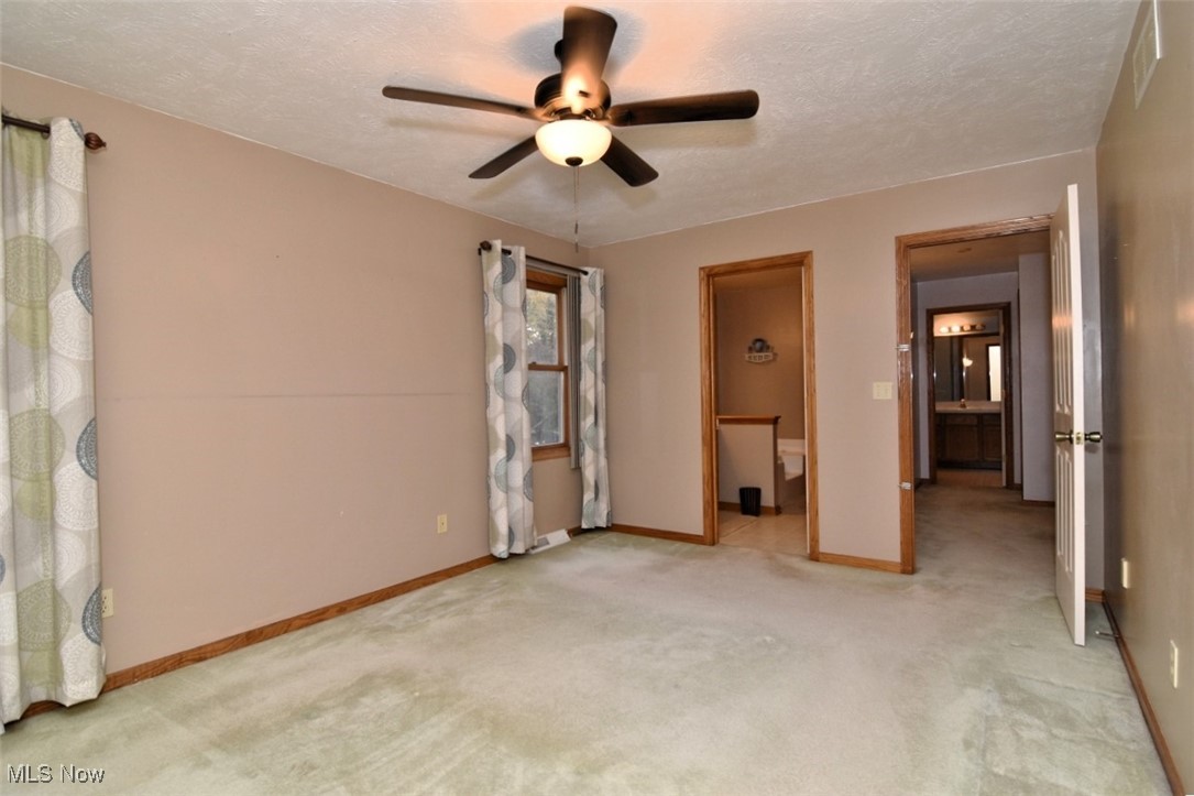 Pine Tree - Residential