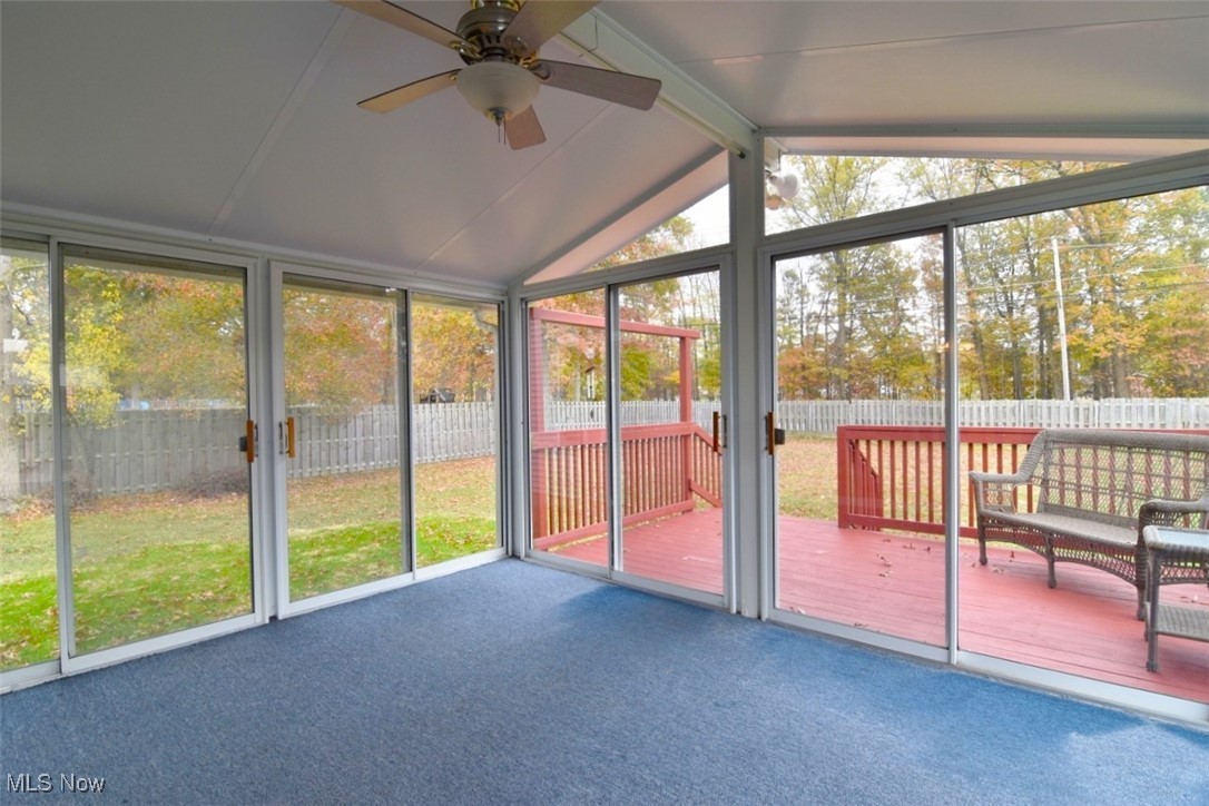 Pine Tree - Residential