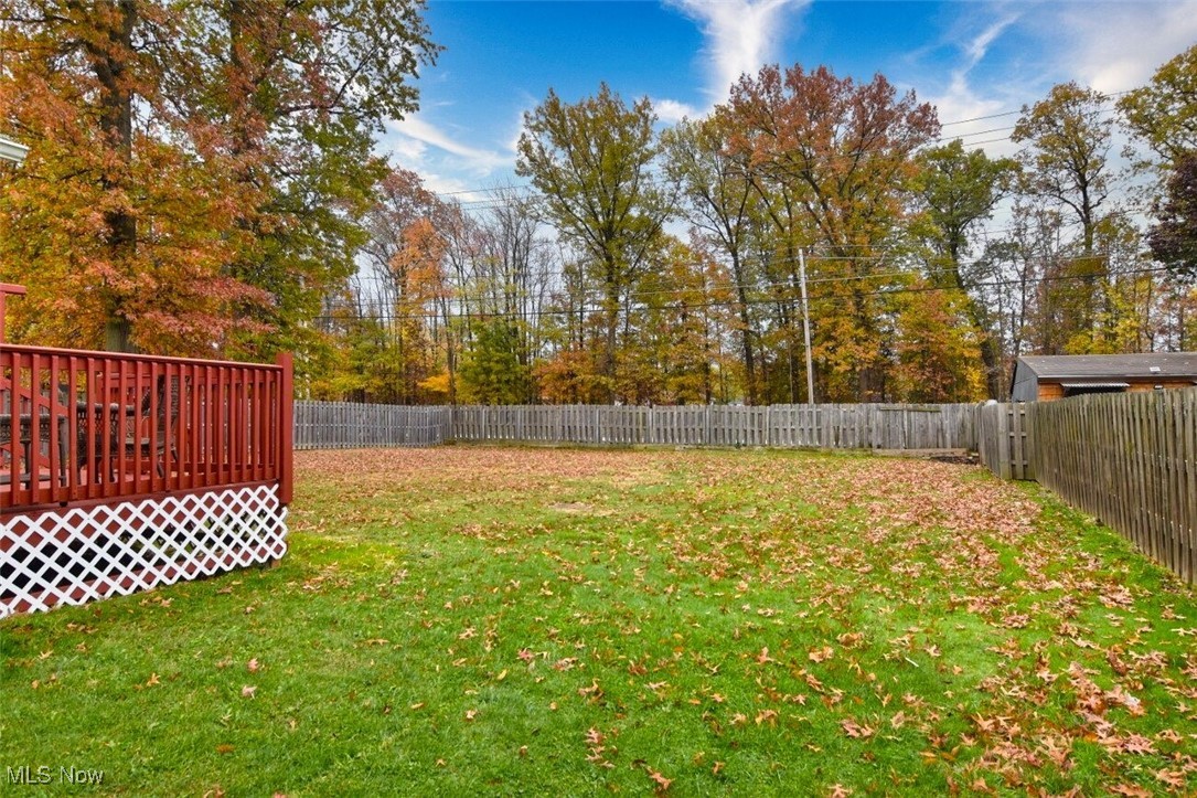 Pine Tree - Residential