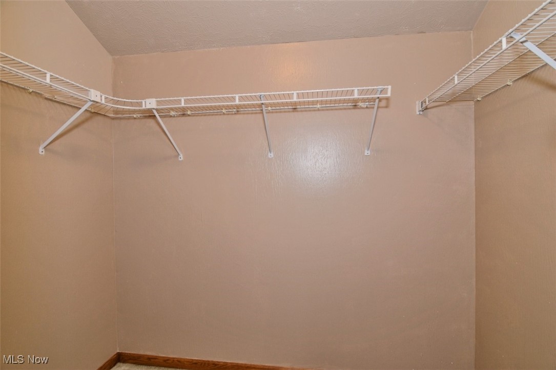 Pine Tree - Residential