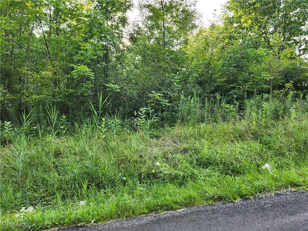 Ready to make your lake life a reality? Don't miss out on this property. Location Location Location. This beautiful 5 acre wooded lot is on a quiet street, while being close to the lake and all the activities it offers. Fishing, boating and restaurants. This location has it all!