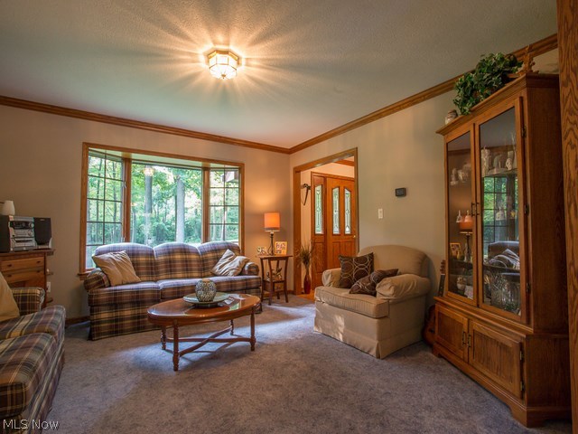 Mantua - Residential