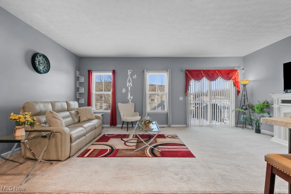 Meadows/Copley Rep 2 - Residential