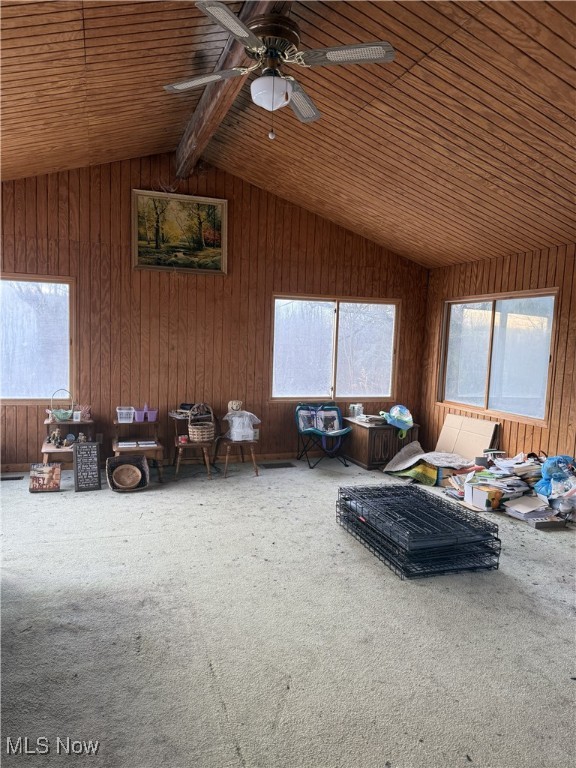 Streetsboro - Residential