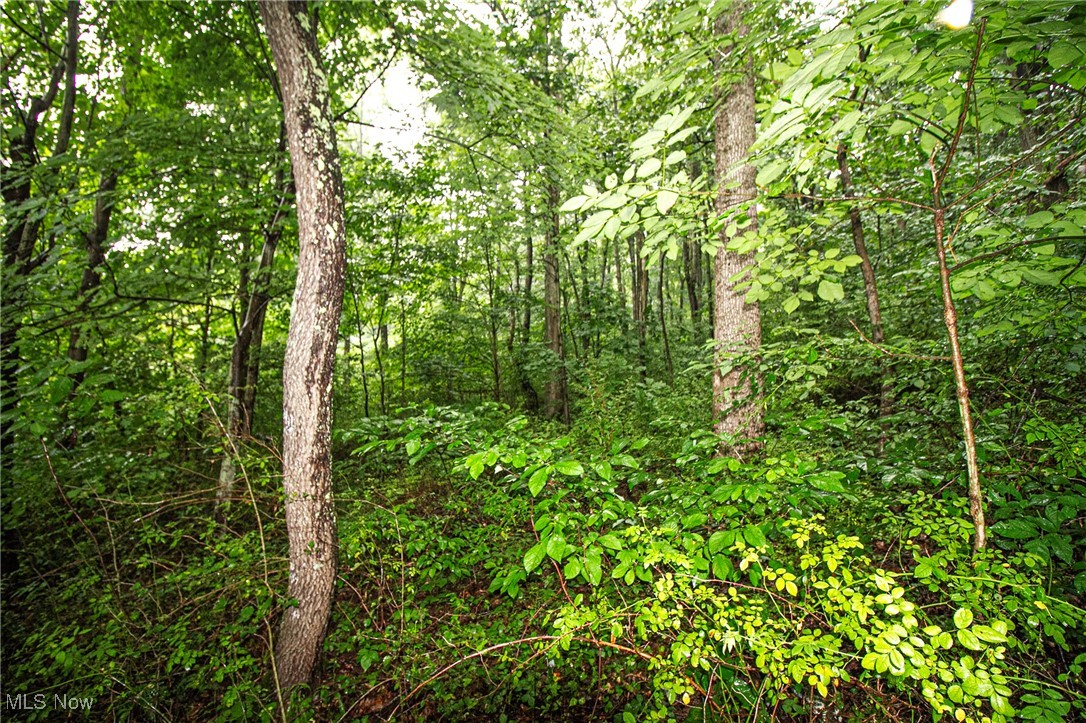 Lot 2 Meadowood Trail, Cadiz, Ohio image 6