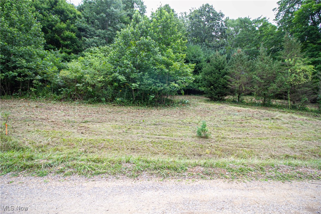 Lot 2 Meadowood Trail, Cadiz, Ohio image 1