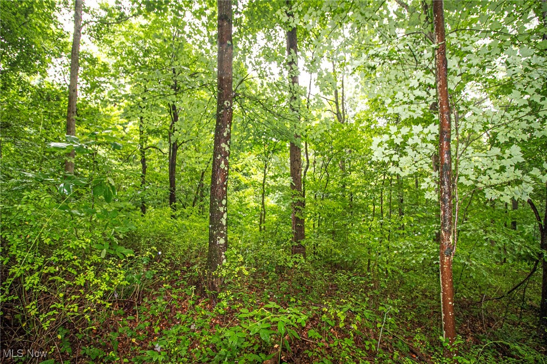 Lot 2 Meadowood Trail, Cadiz, Ohio image 8