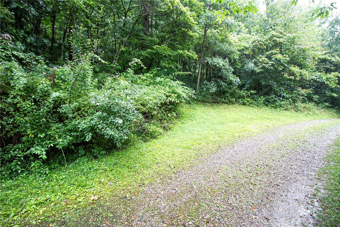 Lot 2 Meadowood Trail, Cadiz, Ohio image 3