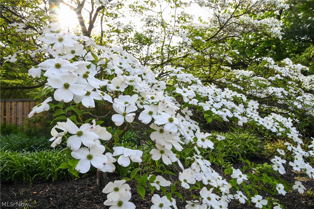 Van Sweringen Companys - Residential