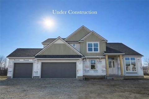 3414 Mass Drive Avon OH 44011