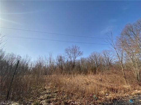 Vacant Land For Sale - James Street<br/> Trumbull County, Niles, OH 44446
