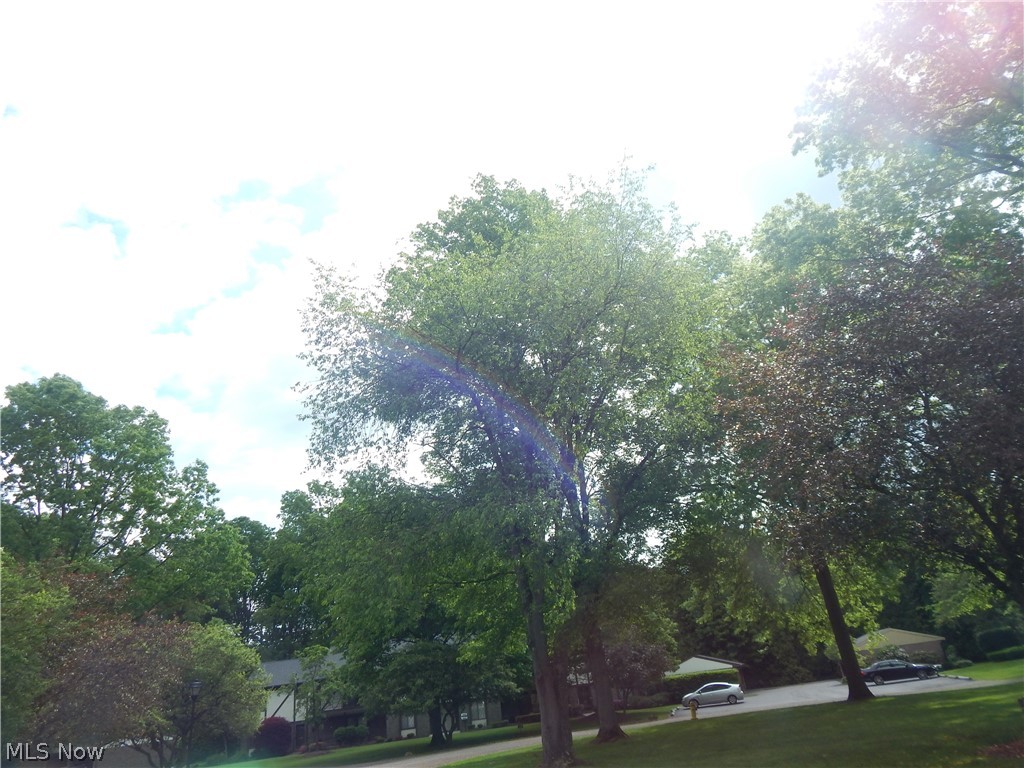 Gates Mills Condo - Residential