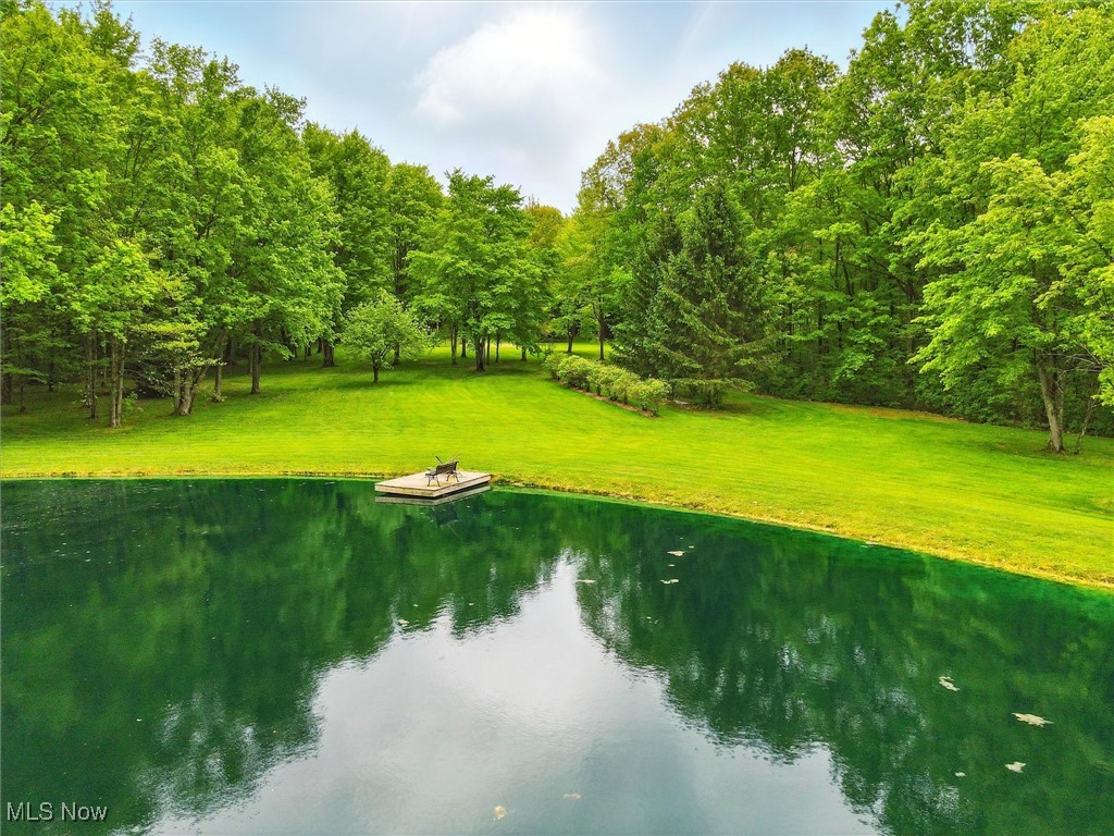 11850 Taylor Wells Road, Chardon, Ohio image 9