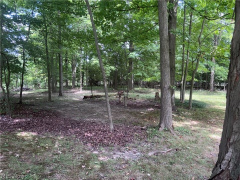 Tiny photo for V/L Mason Road, Vermilion, OH 44089 (MLS # 5239971)