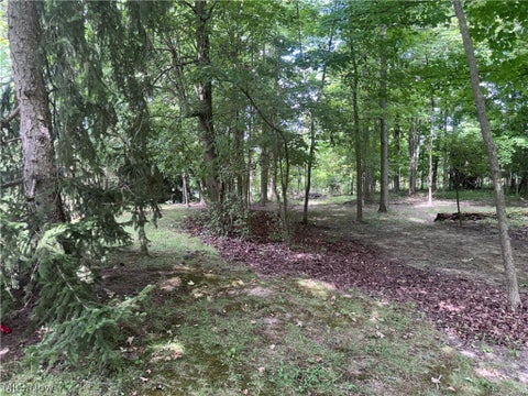 Tiny photo for V/L Mason Road, Vermilion, OH 44089 (MLS # 5239971)