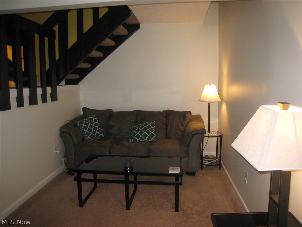 Meadow Run Condo - Residential