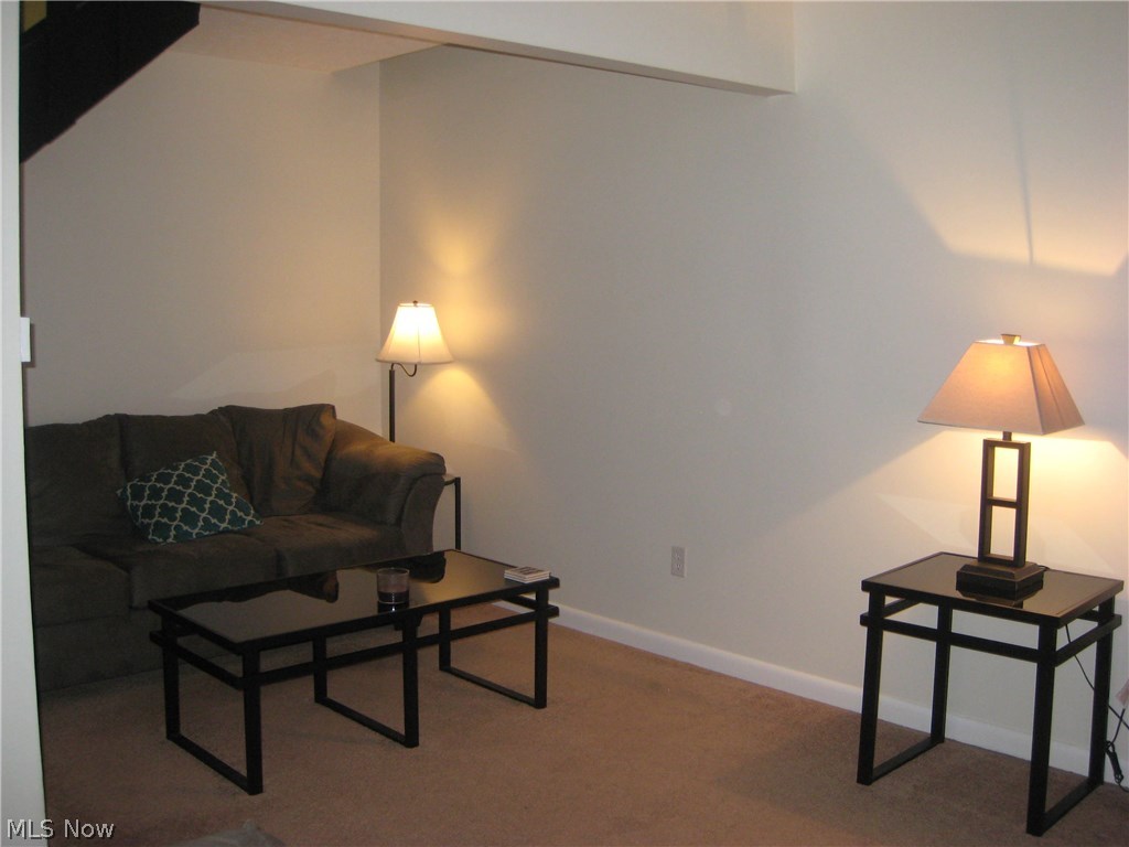 Meadow Run Condo - Residential