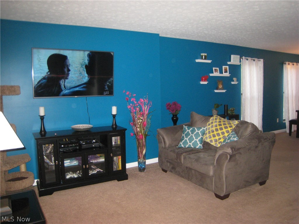 Meadow Run Condo - Residential