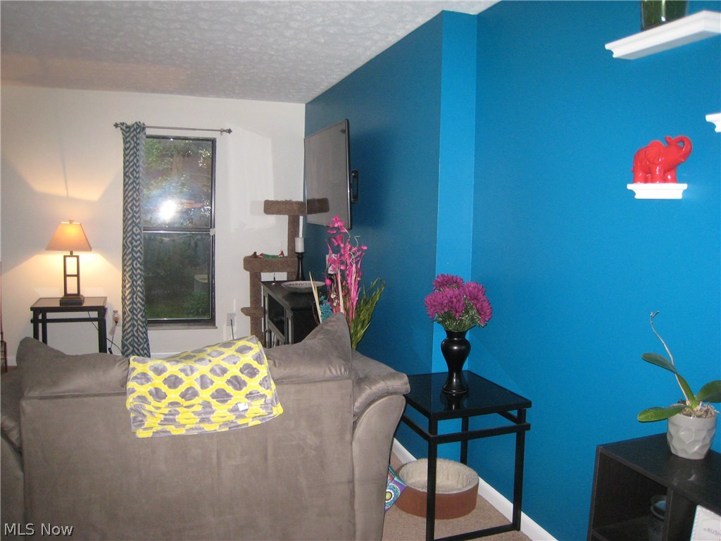 Meadow Run Condo - Residential