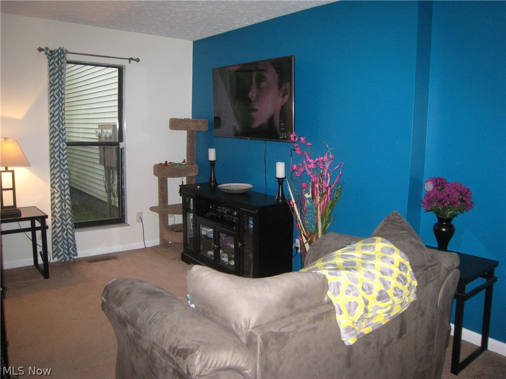 Meadow Run Condo - Residential