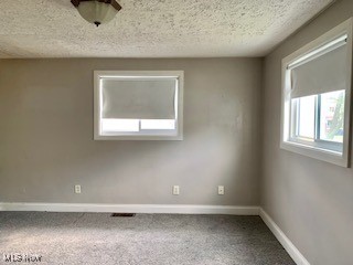 1317 Josephine Street, Toronto, Ohio image 15