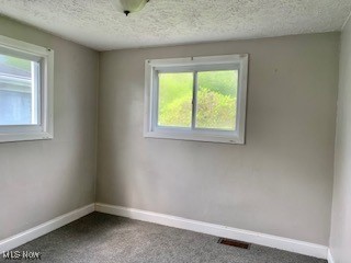 1317 Josephine Street, Toronto, Ohio image 14