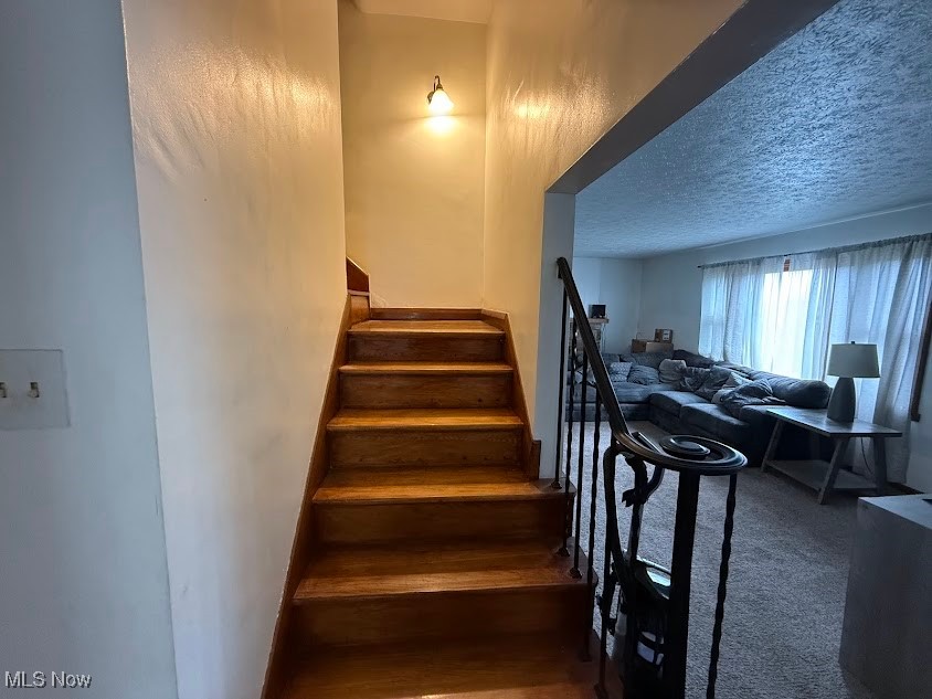 104 Crescent Road, Martins Ferry, Ohio image 20