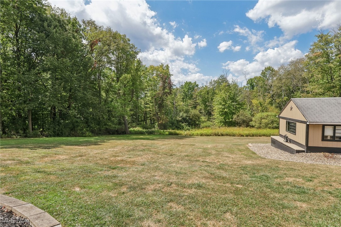 Village/East Palestine - Residential