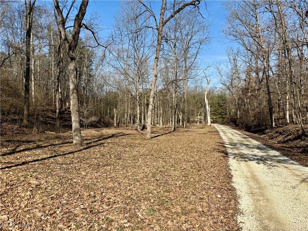7192 Norco Road, Mechanicstown, Ohio image 29