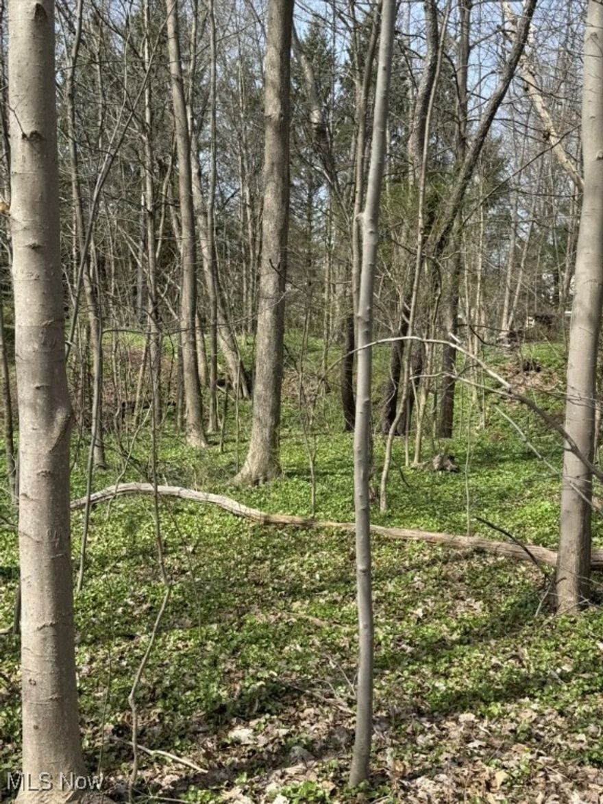 Rare opportunity to own one of the last buildable lots in the highly sought-after Lake Lucerne community in Chagrin Falls. This prime lot offers the convenience and cost savings of public sewer, gas, and electricity available at the street. No need to drill a private well—buyers can tap into the community-maintained well system, providing even more savings for your future build.

Lake Lucerne residents enjoy exclusive access to over 75 acres of private lakes for swimming, fishing, kayaking, and seasonal events. The HOA also offers excellent recreational amenities, including tennis courts, basketball courts, pickleball courts, a playground, scenic walking paths, and a variety of community events. All of this is located just minutes from top-rated schools, shopping, dining, and highway access.