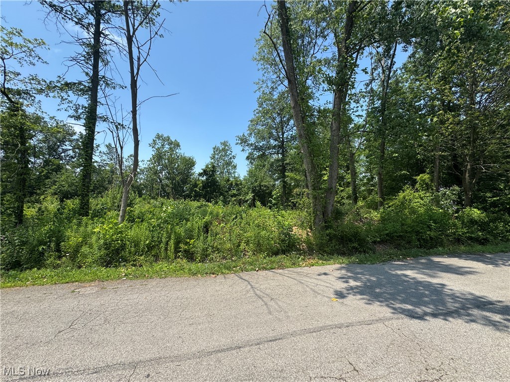 Looking for the perfect place to build your new home, this is it! Located in Clearview school district on a quiet street this 1/3 acre property is waiting for you! This lot is zoned multi-family. Buyer is responsible for all due diligence.