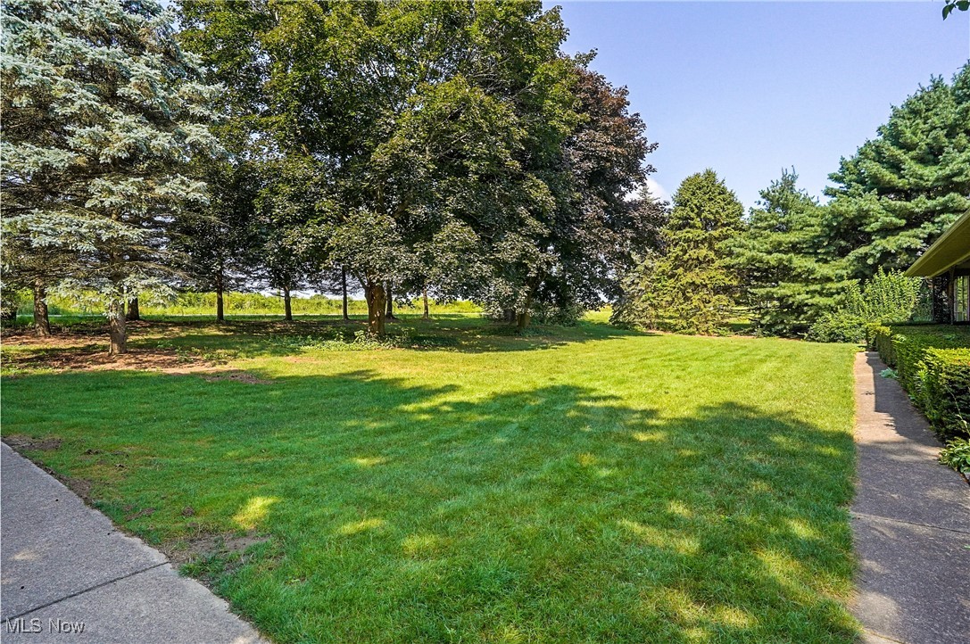 Chippewa - Residential