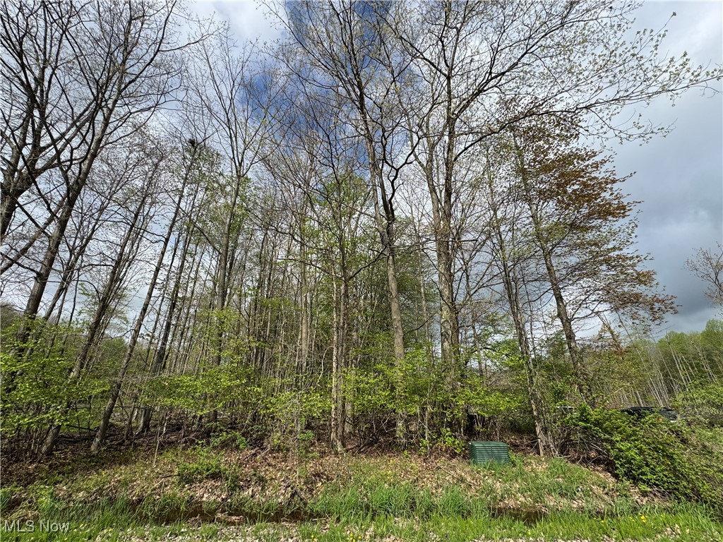 V/l State Line Road, Conneaut, Ohio image 2