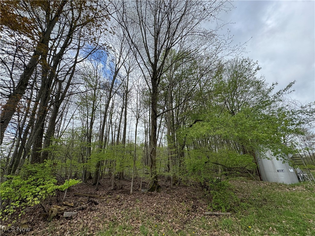 V/l State Line Road, Conneaut, Ohio image 1