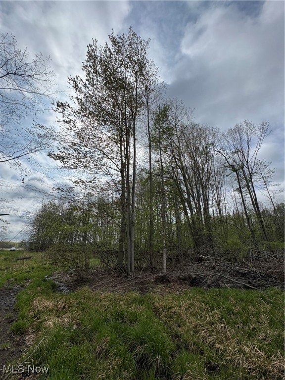 V/l State Line Road, Conneaut, Ohio image 12