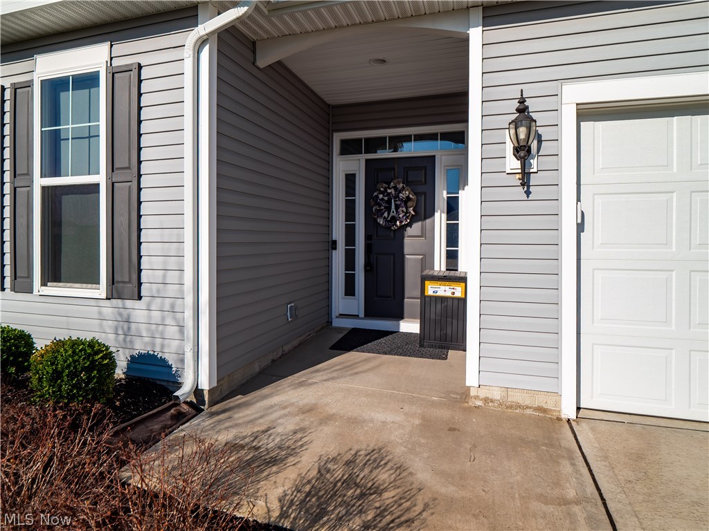 Four Seasons at Chestnut Ridge - Residential