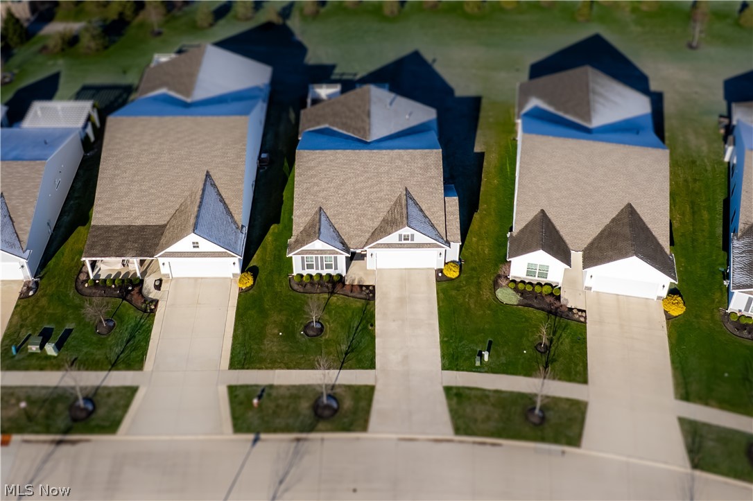 Four Seasons at Chestnut Ridge - Residential